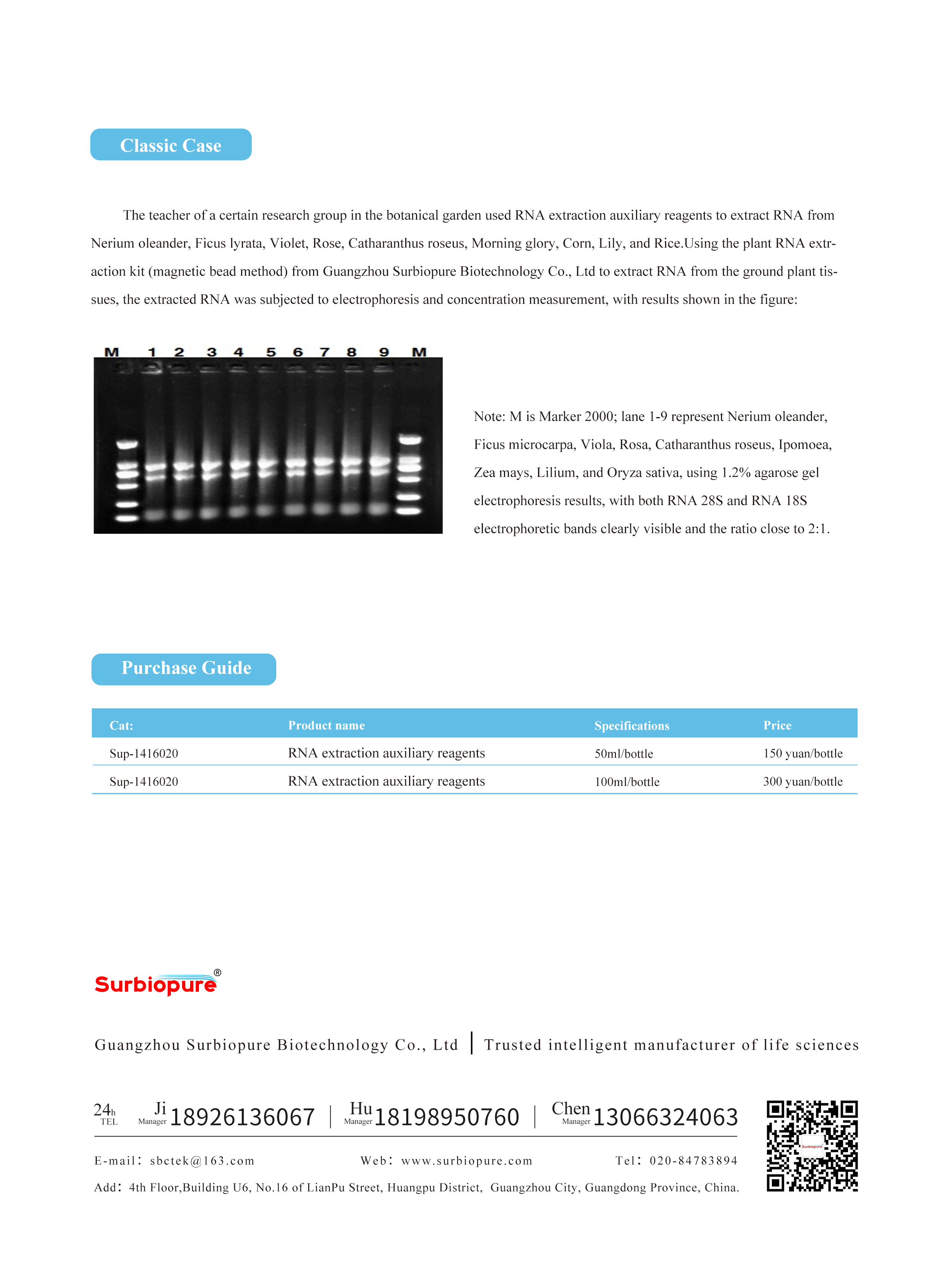 1724136589820314.jpg 畫(huà)板 26.jpg