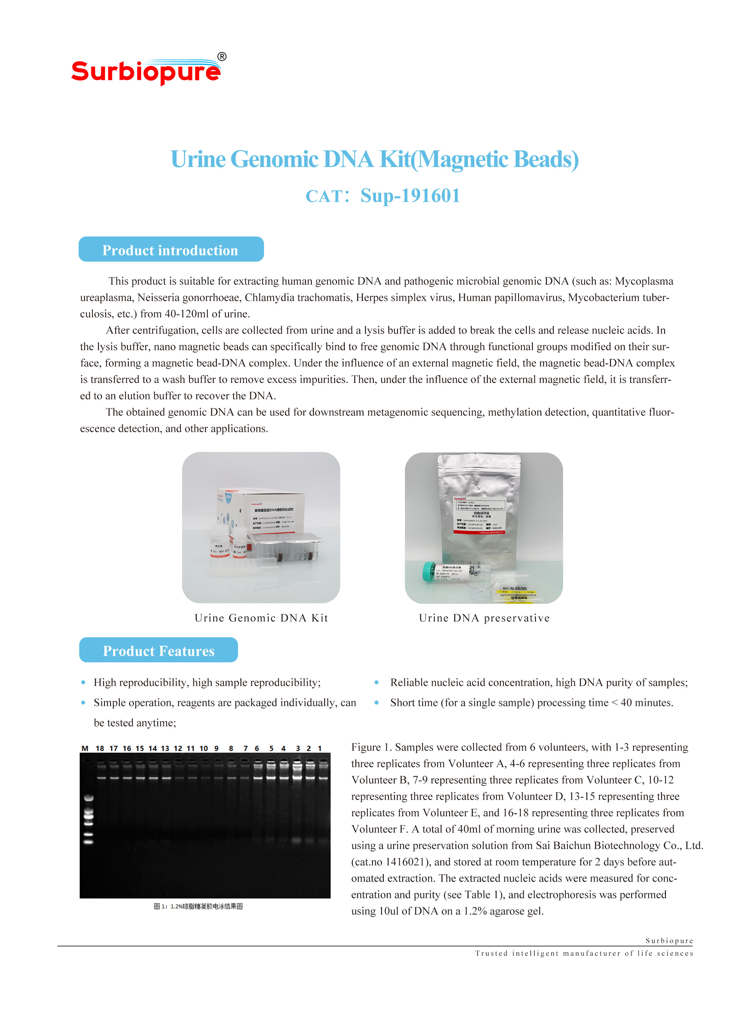 1736928341601110.jpg 畫板 25.jpg